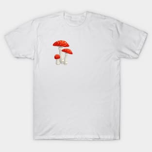 Mushroom Master Fly Agaric T-Shirt